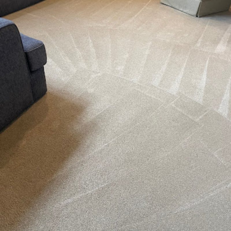 Aladdin's Carpet Cleaningin Buffalo, NY - Top Rated Choices