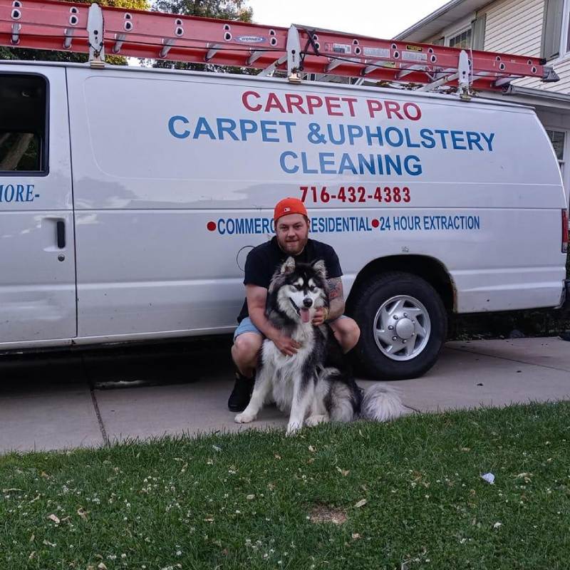 Best Carpet Cleaning Services in Buffalo, NY - Top Rated Choices Carpet Pro in Buffalo, NY - Top Rated Choices