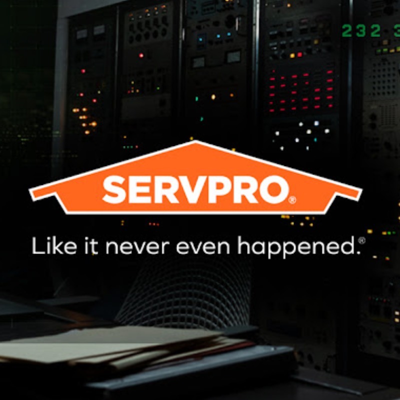 Best Carpet Cleaning Services in Buffalo, NY - Top Rated Choices SERVPRO of Central Buffalo - Top Rated Choices