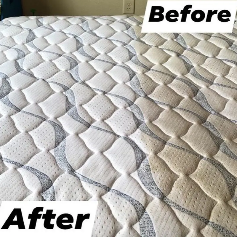 Best Carpet Cleaning in San Antonio, TX | Local Cleaners Near You with Reviews, Ratings - Top Rated Choices Alamo Steam Team near San Antonio- Top Rated Choices
