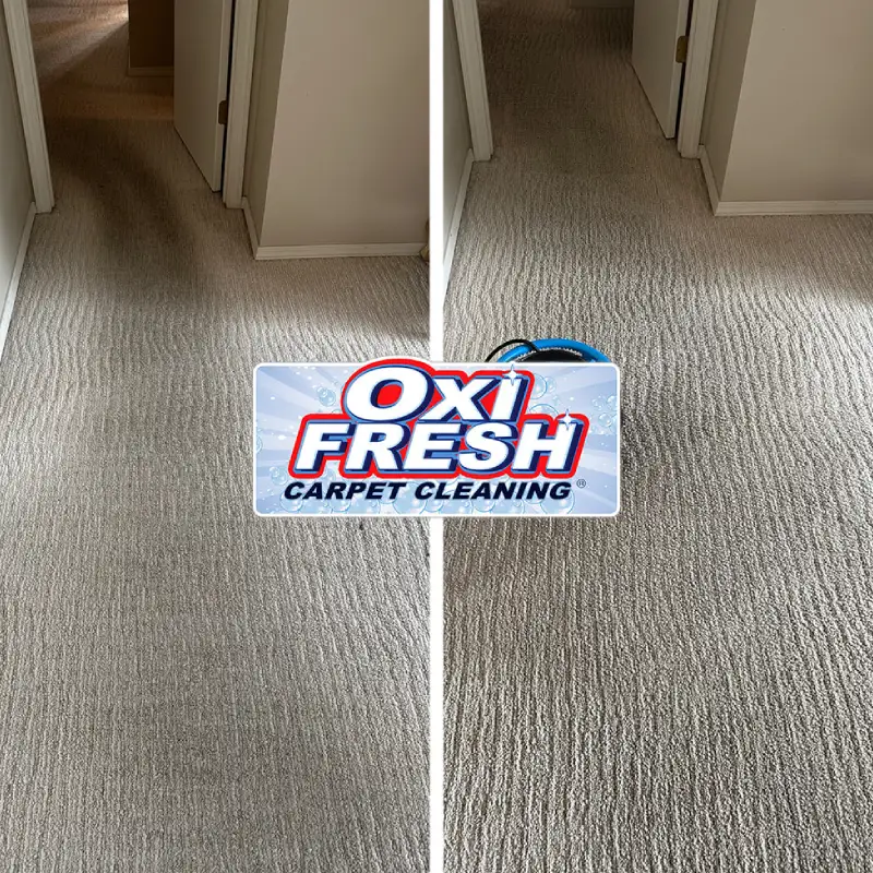 Best Carpet Cleaning in San Antonio, TX | Local Cleaners Near You with Reviews, Ratings - Top Rated Choices Oxi Fresh Carpet Cleaning near you - Top Rated Choices