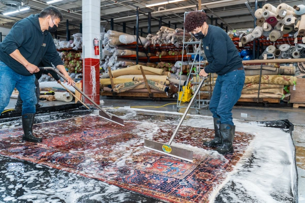 Eco-Friendly Best Carpet Cleaning in Queens, NY - Top Rated Choices Costikyan in Queens, NY - Top Rated Choices