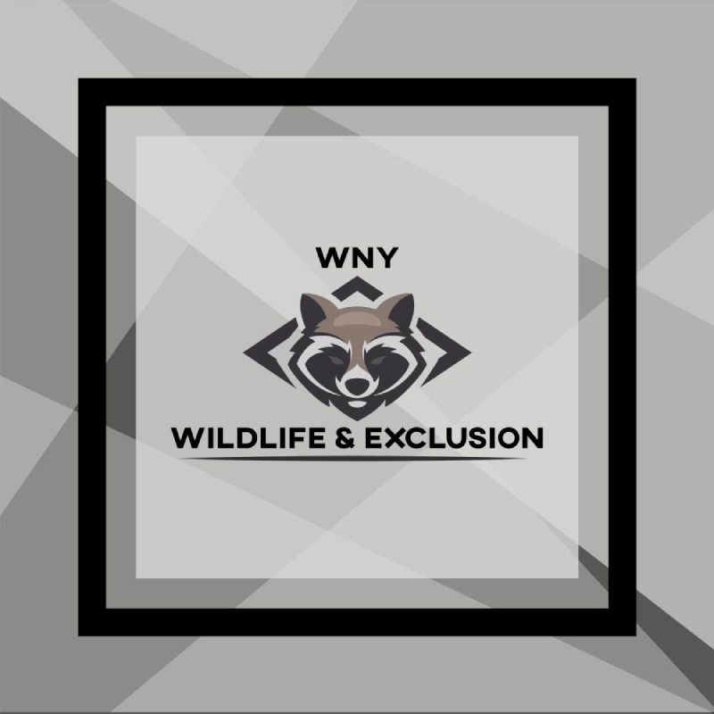 WNY Wildlife & Exclusion in buffalo ny - Top Rated Choices