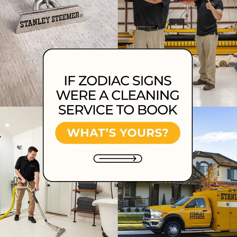 Explore Best Carpet Cleaning in Austin, TX - Top Rated Choices Stanley Steemer Carpet Cleaning in Austin, TX - Top Rated Choices