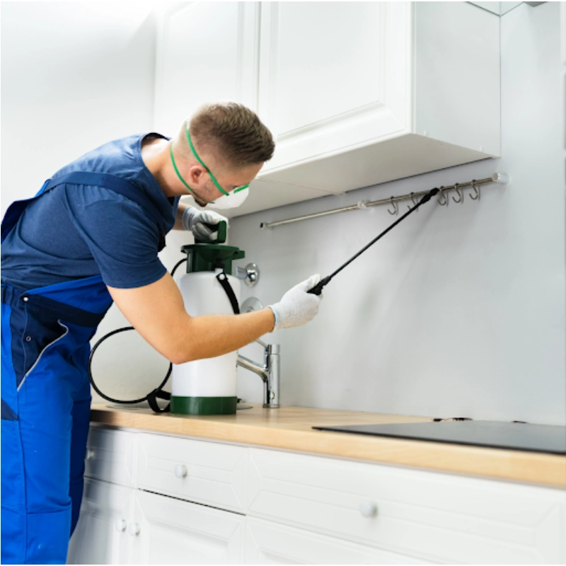 Bluesway Pest Control in Yonkers, NY - Top Rated Choices