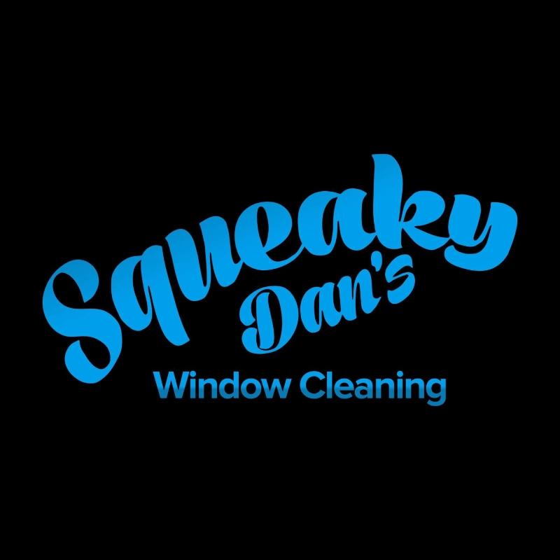 Squeaky Dan's Window Cleaning San Antonio, TX - Top Rated Choices