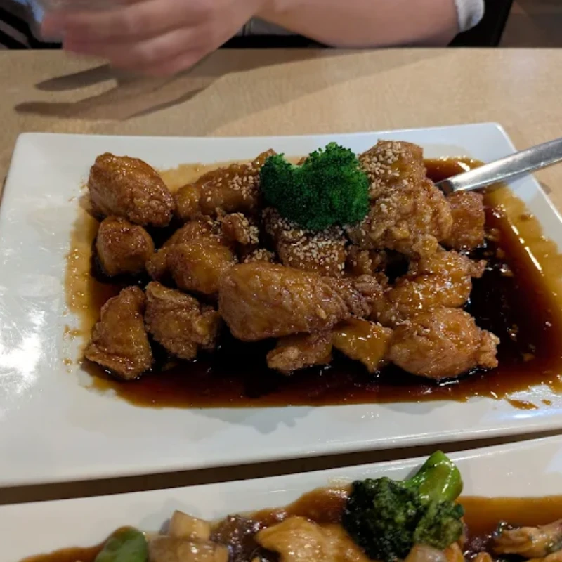 Taste of Asia in Fort Worth, TX- Top Rated Choices