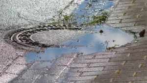 Gutter Cleaning in Yonkers, New York on Top Rated Choices